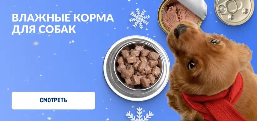 Товары для домашних питомцев 818h388_4-min.webp