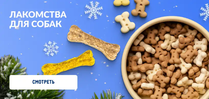 Товары для домашних питомцев 818h388_6-min.webp