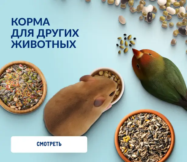 Товары для домашних питомцев 2560h302_korma_dlya_drugih_zhivotnyh-1.webp