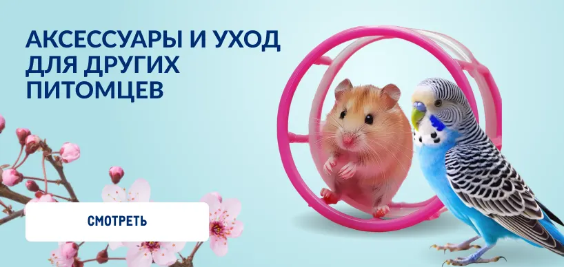 Товары для домашних питомцев 818h388_aksessuary_dlya_dr_pitomczev.webp