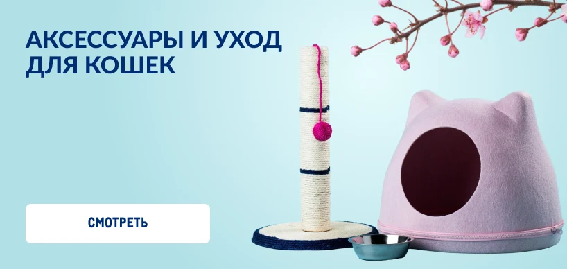 Товары для домашних питомцев 818h388_aksessuary_dlya_koshek.webp