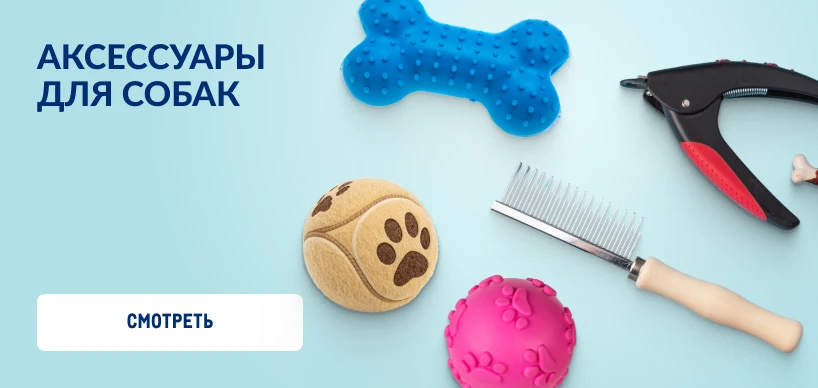 Товары для домашних питомцев 818h388_aksessuary_dlya_sobak-1.webp