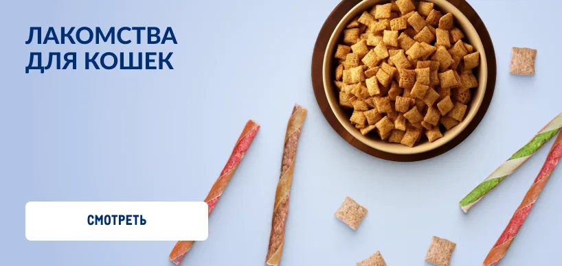 Товары для домашних питомцев 818h388_lakomstva_dlya_koshek-1.webp