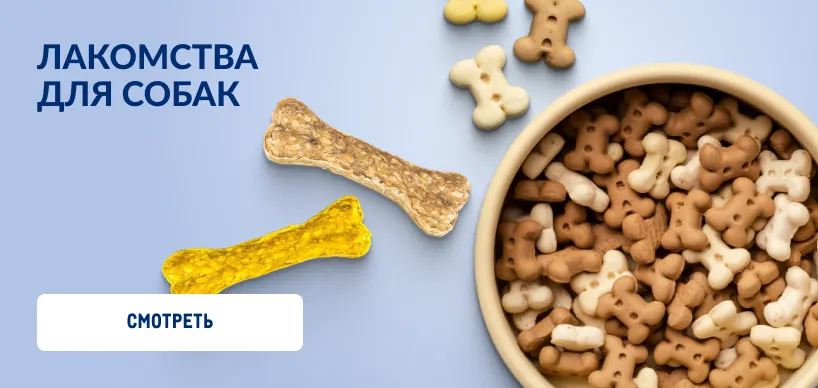Товары для домашних питомцев 818h388_lakomstva_dlya_sobak-1.webp