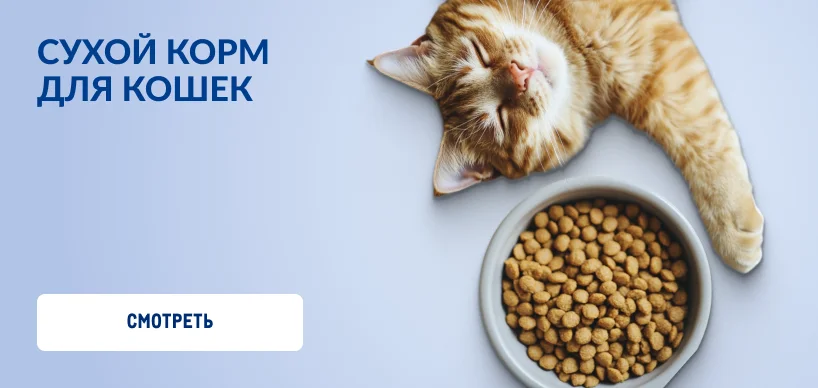 Товары для домашних питомцев 818h388_suhoj_korm_dlya_koshek-1.webp