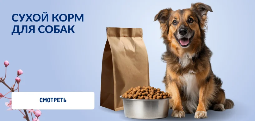 Товары для домашних питомцев 818h388_suhoj_korm_dlya_sobak-2.webp