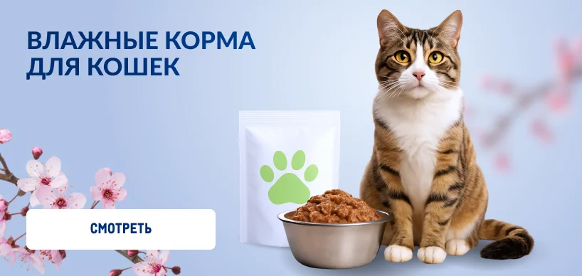 Товары для домашних питомцев 818h388_vlazhnye_korma_dlya_koshek-1.webp