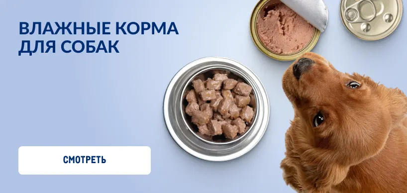 Товары для домашних питомцев 818h388_vlazhnye_korma_dlya_sobak-1.webp
