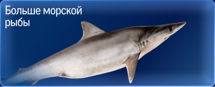 Свежий улов из морских вод 05-3a.jpg