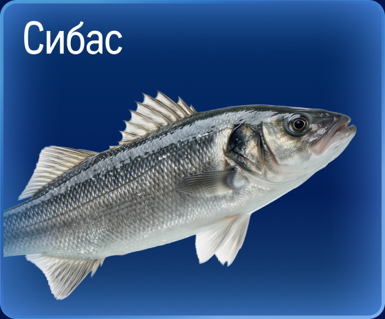 Свежий улов из морских вод 05-2b.jpg