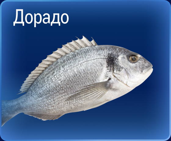 Свежий улов из морских вод 05-2c.jpg