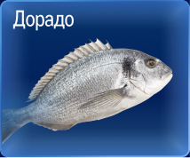 Свежий улов из морских вод 05-2c.jpg