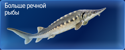Свежий улов из морских вод 05-3b-1.jpg