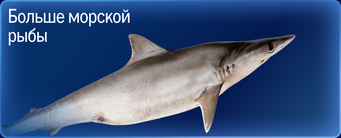 Свежий улов из морских вод 05-3a.jpg