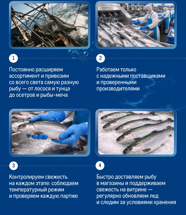 Свежий улов из морских вод 10_banners.jpg
