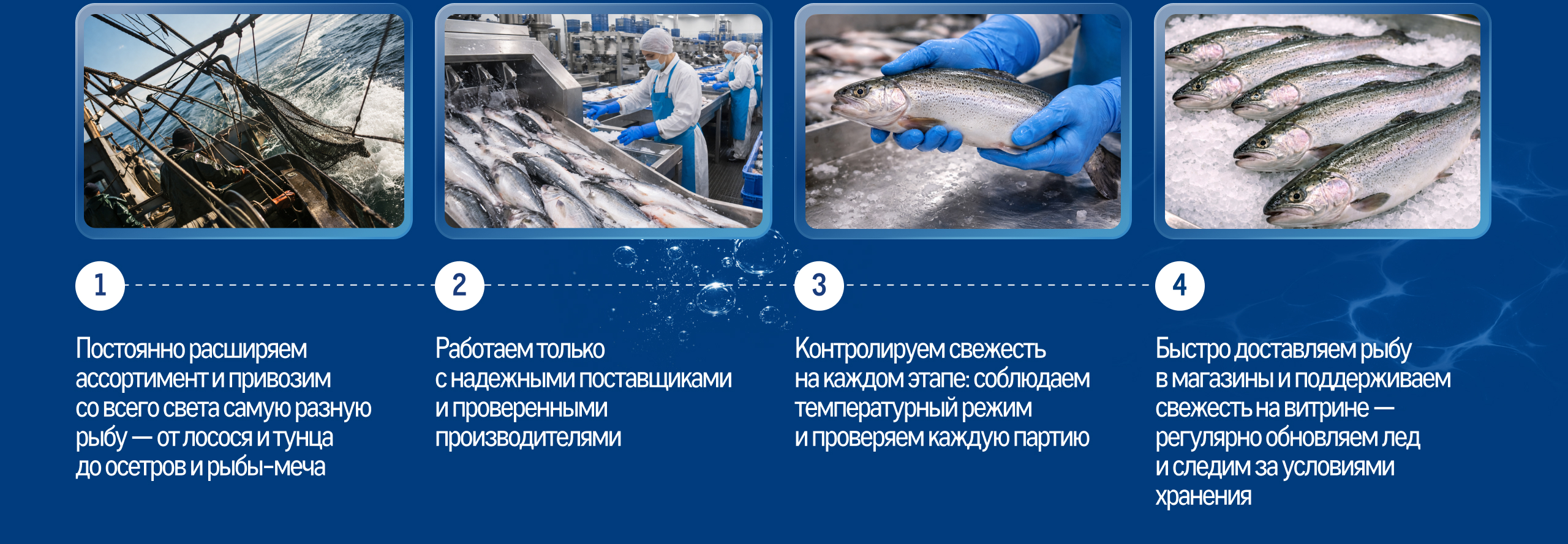 Свежий улов из морских вод 10_banners.jpg