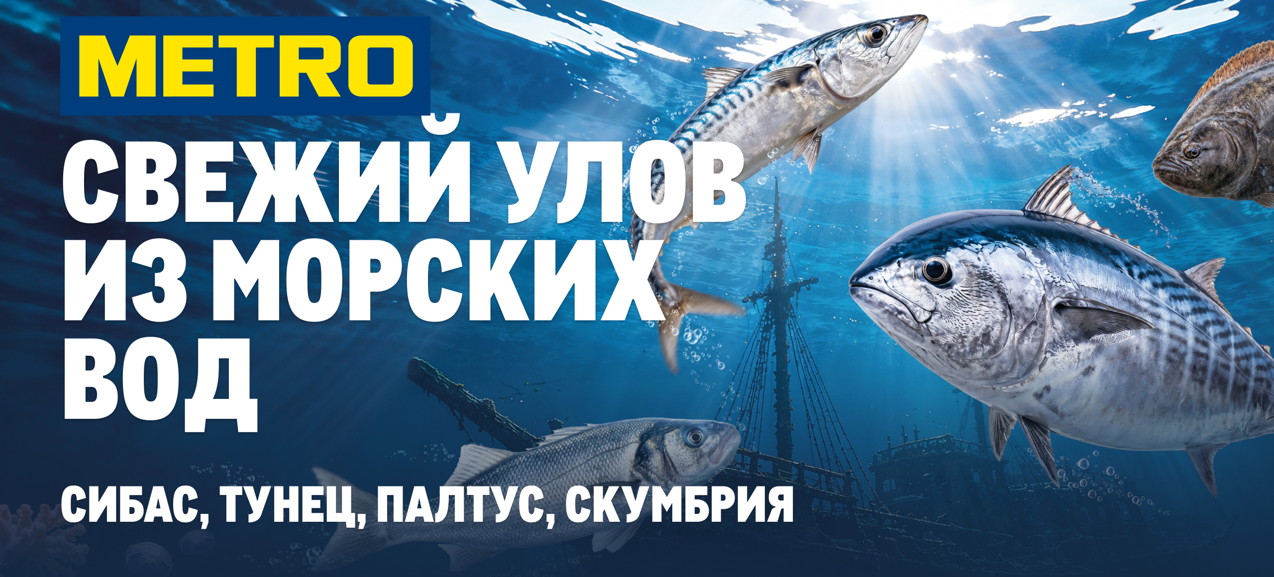 Свежий улов из морских вод glavnyj-banner_web-versiya-1.jpg