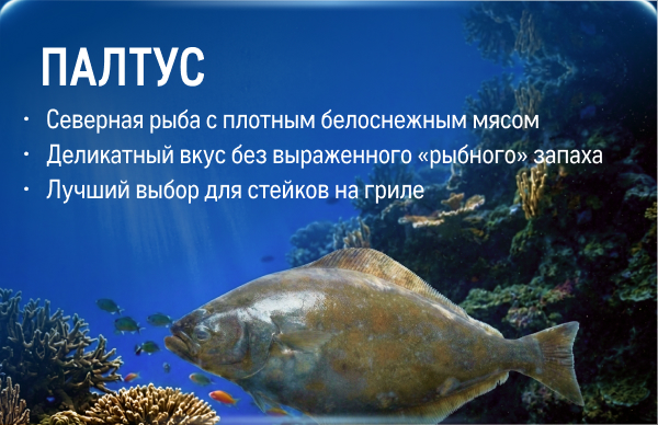 Свежий улов из морских вод kartochka_skumbriya-1-1.jpg