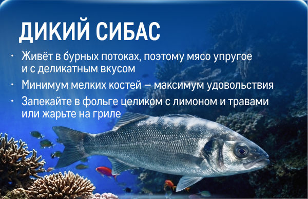 Свежий улов из морских вод kartochka_sibas-1.jpg