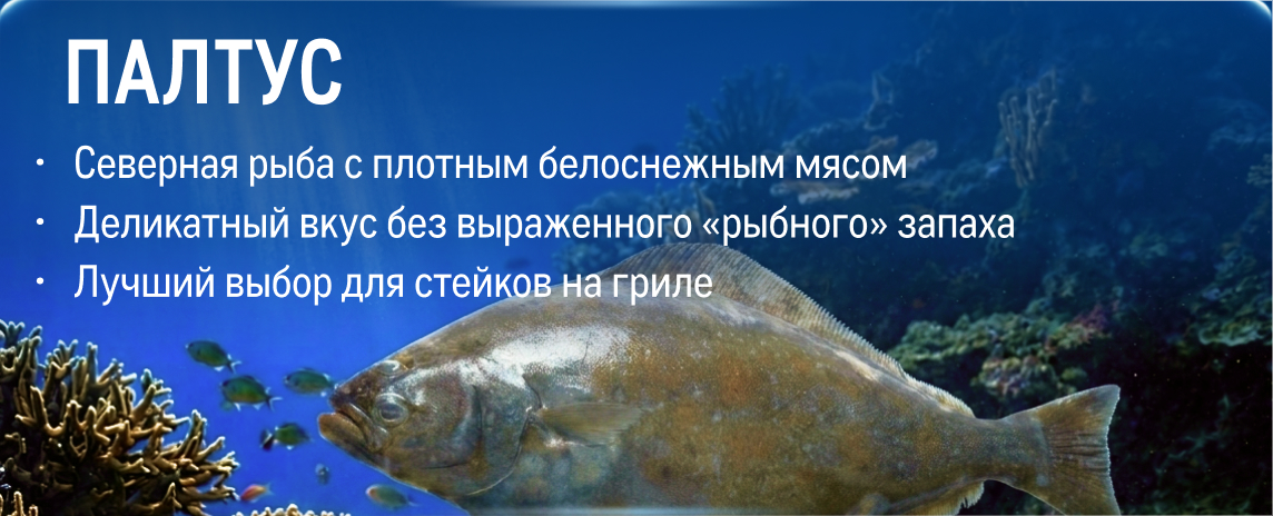 Свежий улов из морских вод kartochka_skumbriya-1-1.jpg
