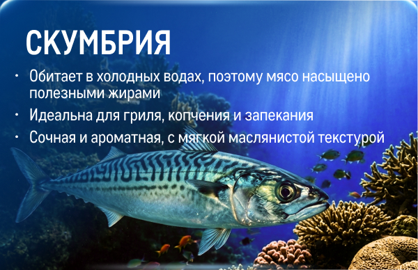 Свежий улов из морских вод kartochka_skumbriya_1h.jpg