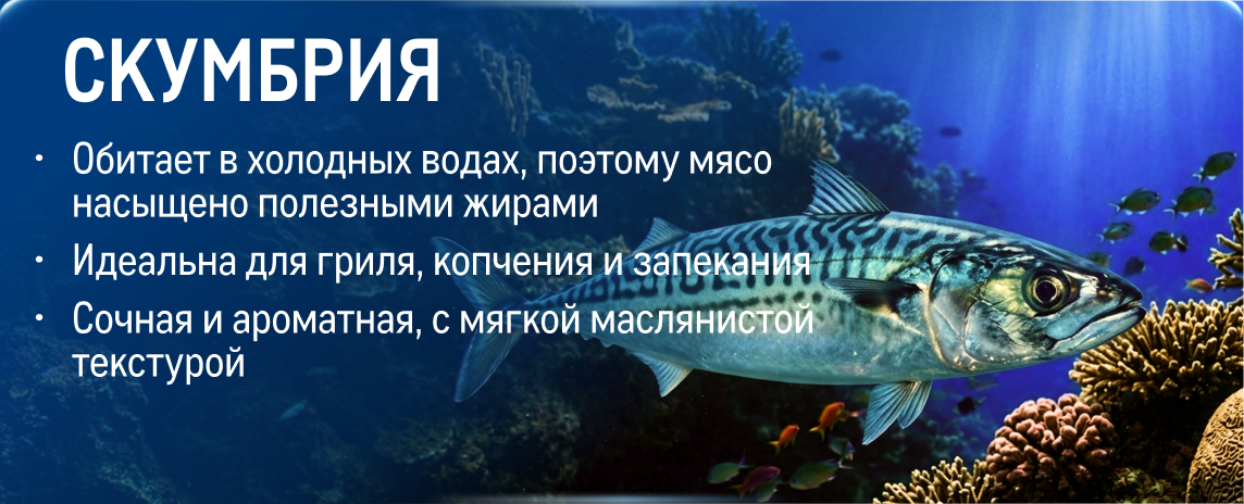 Свежий улов из морских вод kartochka_skumbriya_1h.jpg