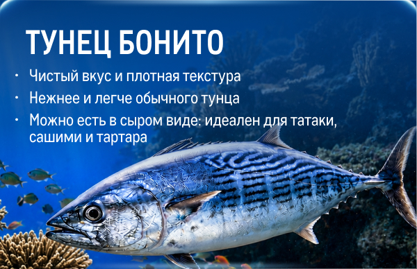 Свежий улов из морских вод kartochka_tunecz-1.jpg