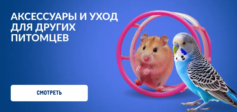Товары для домашних питомцев aksessuay-i-uhod-dlya-drugih-pitomczev.webp