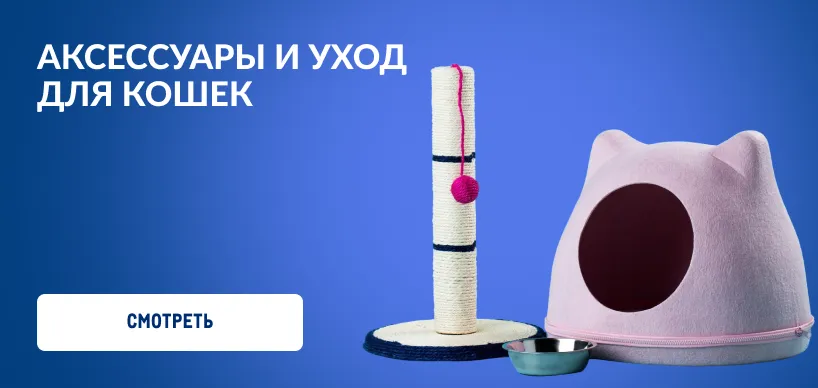 Товары для домашних питомцев aksessuay-i-uhod-dlya-koshek.webp