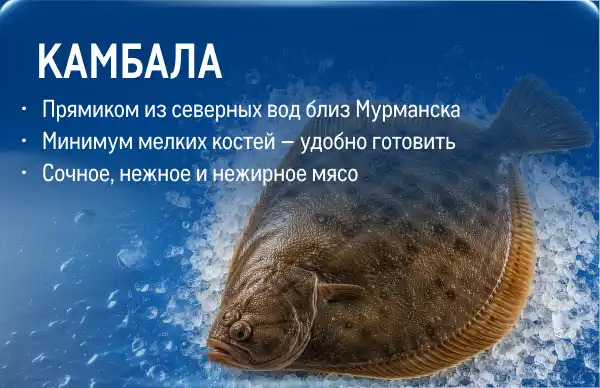 Рыба и морепродукты со всей России kartochka_kambala.webp