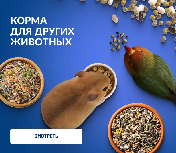 Товары для домашних питомцев korma-dlya-drugih-zhivotnyh_veb.webp