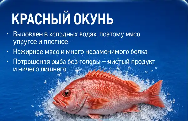 Рыба и морепродукты со всей России kartochka_krasnyj-okun-.webp