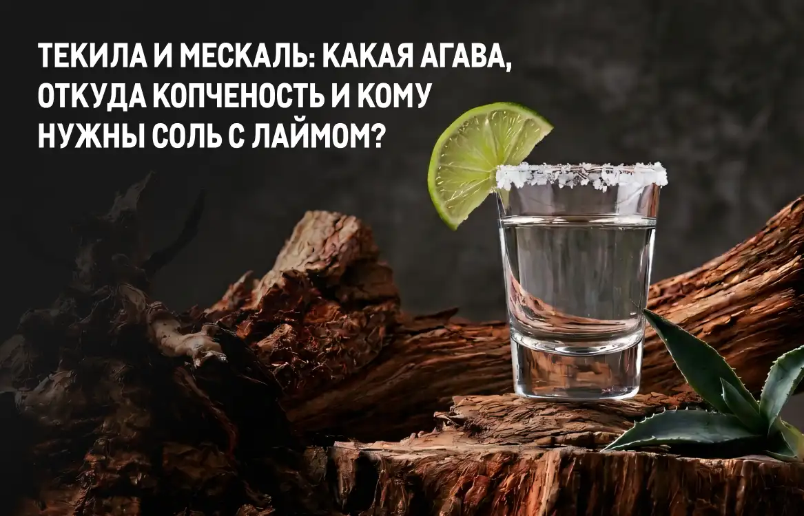 Фестиваль напитков tekila-i-meskal-kakaya-agava-otkuda-kopchenost-i-komu-nuzhny-sol-s-lajmom_.webp