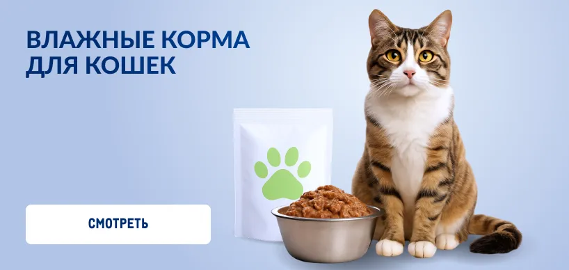 Товары для домашних питомцев vlazhnye-korma-dlya-koshek.webp