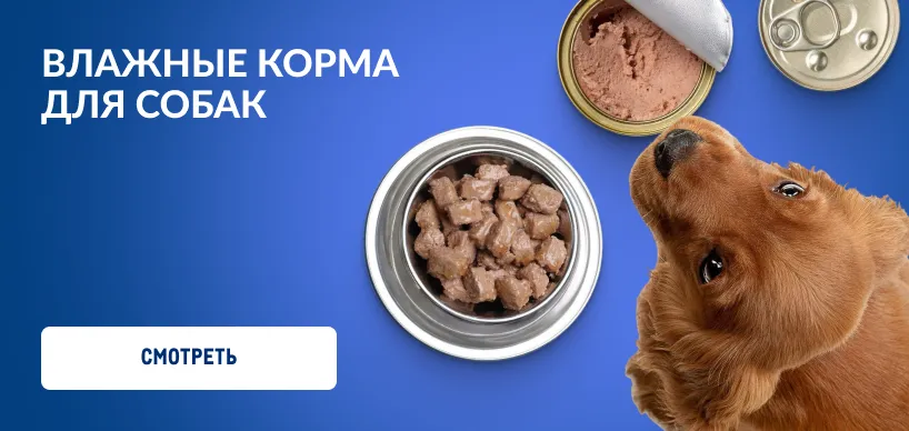 Товары для домашних питомцев vlazhnye-korma-dlya-sobak.webp