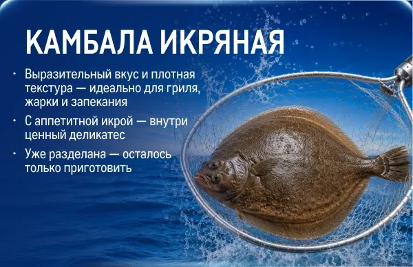 Рыба и морепродукты со всей России karelskaya-forel_veb.webp