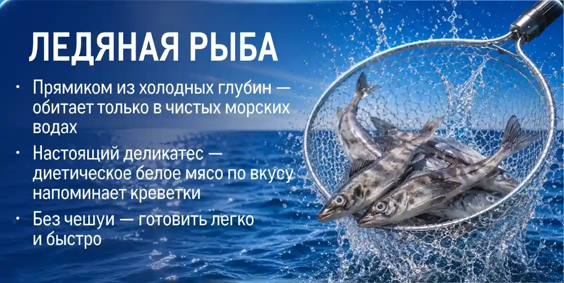 Рыба и морепродукты со всей России file-lososya_veb.webp