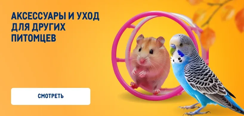 Товары для домашних питомцев aksessuay-i-uhod-dlya-drugih-pitomczev-2.webp