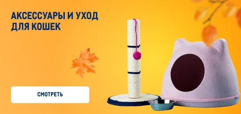 Товары для домашних питомцев aksessuay-i-uhod-dlya-koshek-2.webp