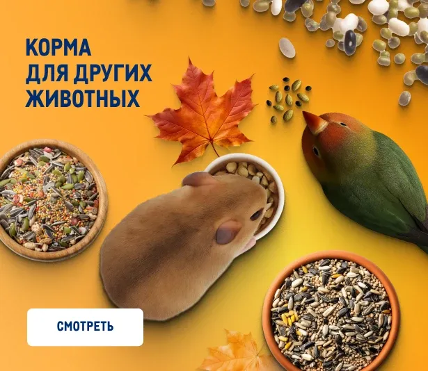 Товары для домашних питомцев korma-dlya-drugih-zhivotnyh_veb-2.webp