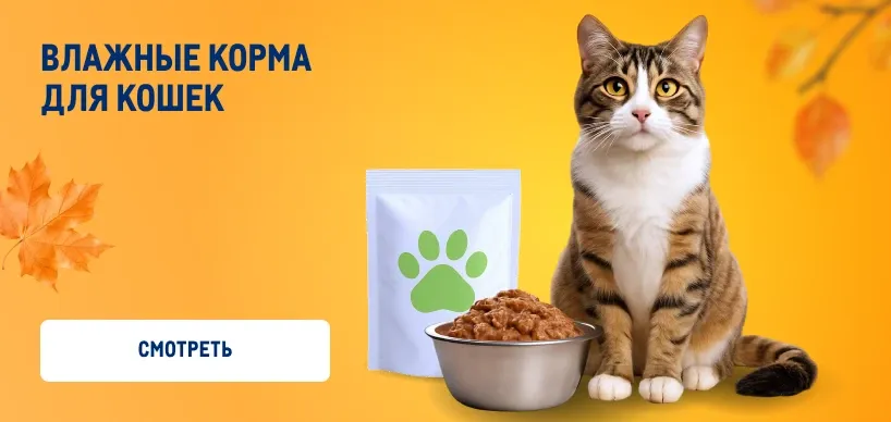 Товары для домашних питомцев vlazhnye-korma-dlya-koshek-2.webp