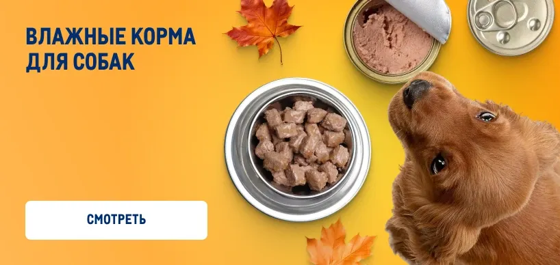 Товары для домашних питомцев vlazhnye-korma-dlya-sobak-2.webp